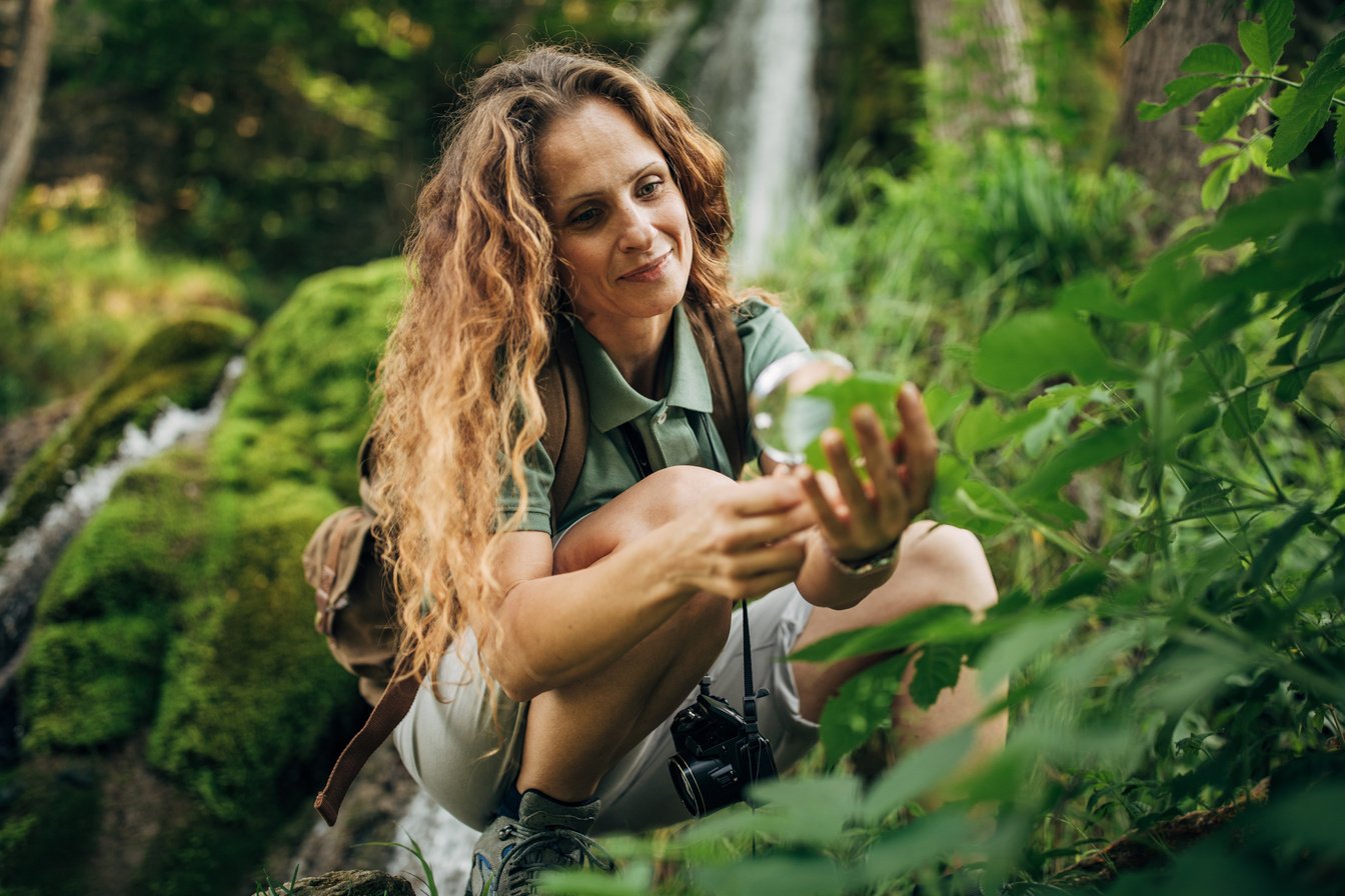 Biologist Examining Plants